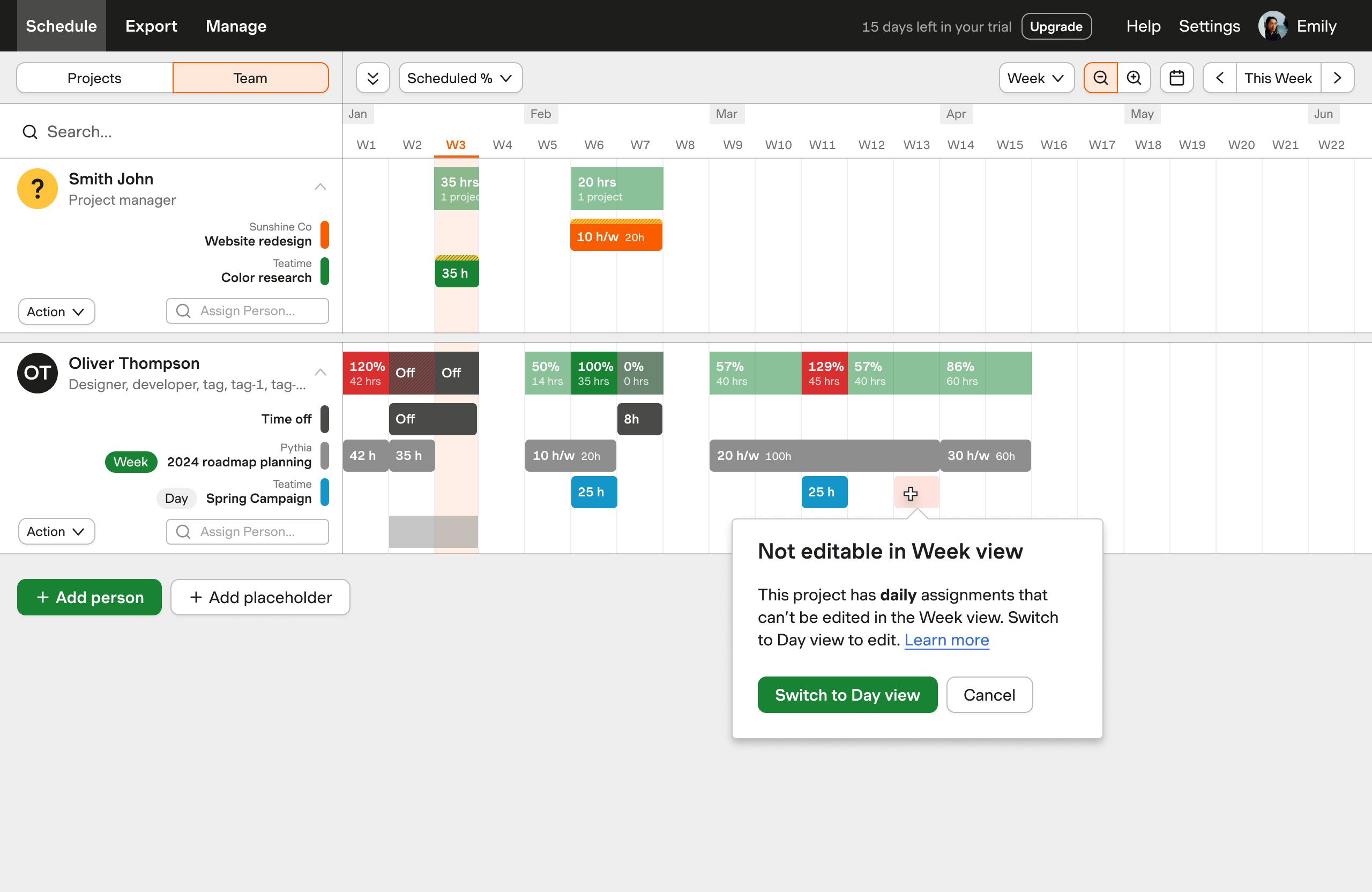 Day view — before, restrictive project type model